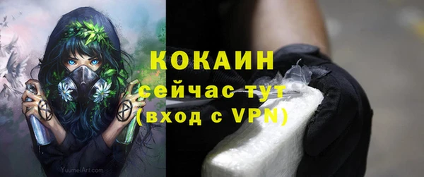 стафф Богородицк