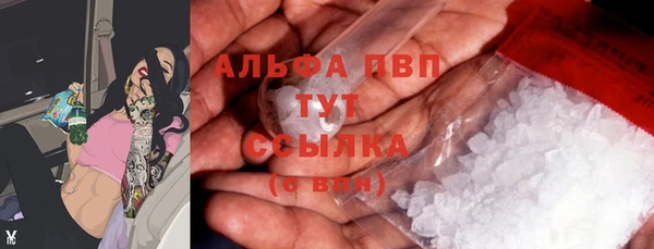 PSILOCYBIN Богданович