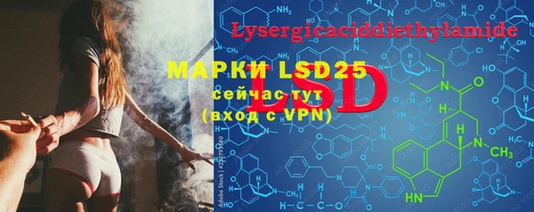 PSILOCYBIN Богданович