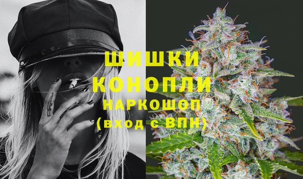 PSILOCYBIN Богданович