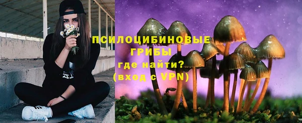 PSILOCYBIN Богданович
