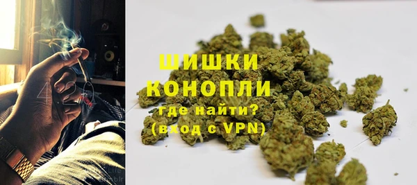 стафф Богородицк