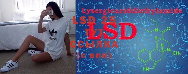 PSILOCYBIN Богданович