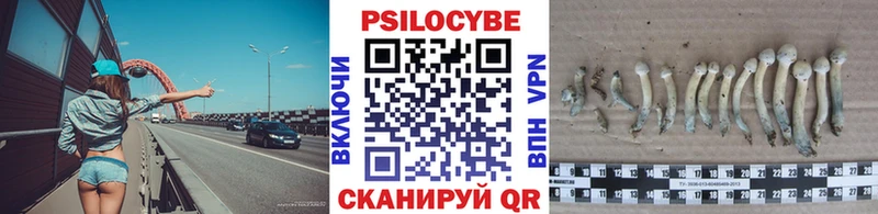 Псилоцибиновые грибы мицелий  Мезень 